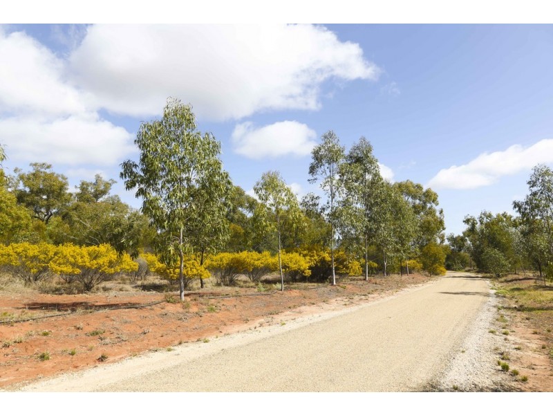 5 Annies Lane, Griffith NSW 2680