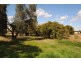 Farm 1307 Kidman Way, Tharbogang NSW 2680