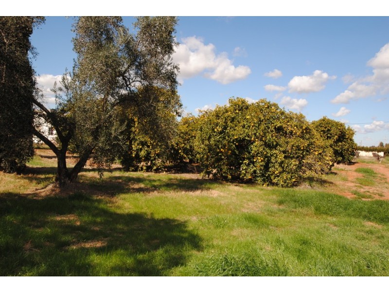 Farm 1307 Kidman Way, Tharbogang NSW 2680