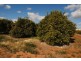 Farm 1307 Kidman Way, Tharbogang NSW 2680