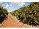 Farm 1307 Kidman Way, Tharbogang NSW 2680