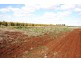 Farm 1307 Kidman Way, Tharbogang NSW 2680