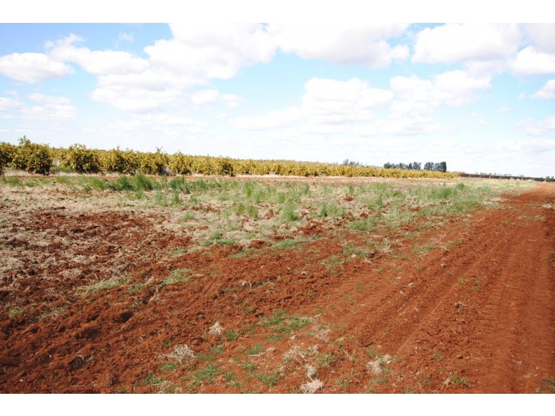 Farm 1307 Kidman Way, Tharbogang NSW 2680