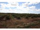 Farm 1307 Kidman Way, Tharbogang NSW 2680