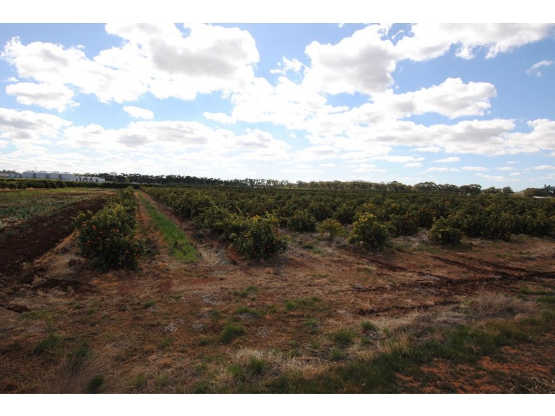 Farm 1307 Kidman Way, Tharbogang NSW 2680