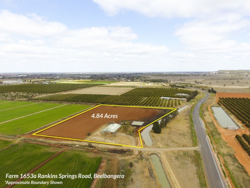 Farm 1653A Rankins Springs Road, Beelbangera NSW 2680