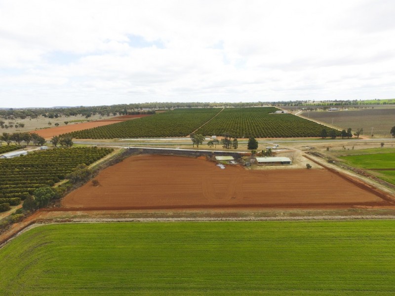 Farm 1653A Rankins Springs Road, Beelbangera NSW 2680