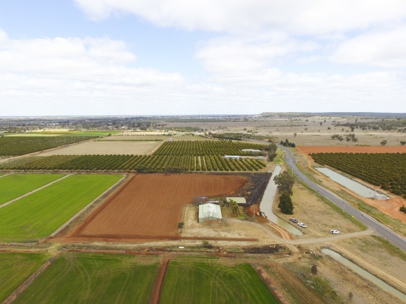 Farm 1653A Rankins Springs Road, Beelbangera NSW 2680