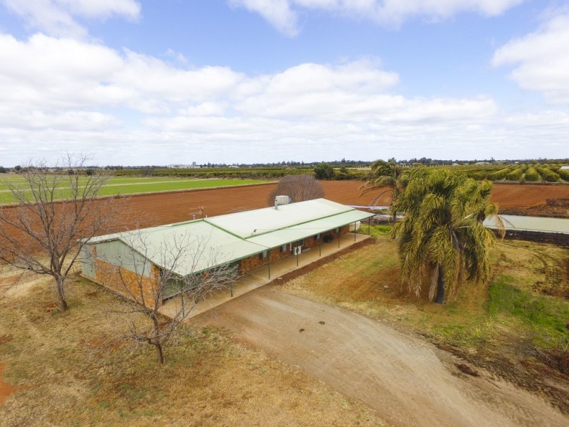 Farm 1653A Rankins Springs Road, Beelbangera NSW 2680