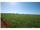 89A Moseley Road, Bilbul NSW 2680