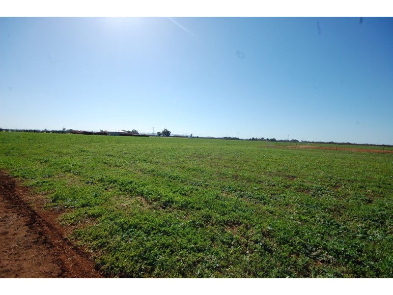 89A Moseley Road, Bilbul NSW 2680