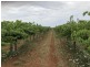Bilbul NSW 2680