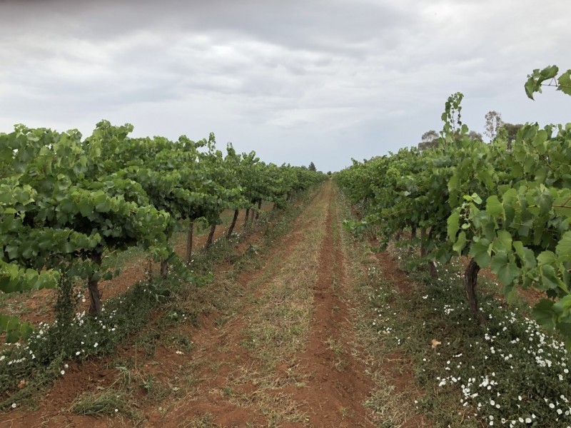 Bilbul NSW 2680