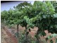 Bilbul NSW 2680