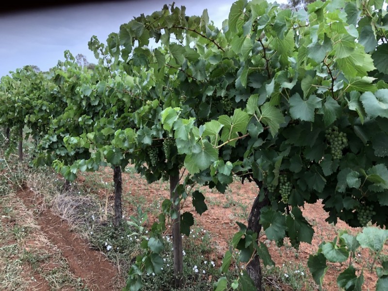 Bilbul NSW 2680