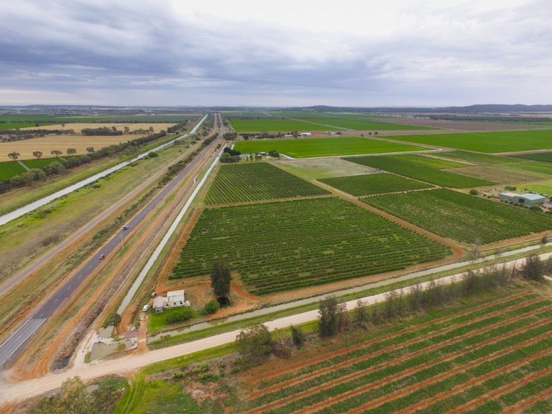 2617 Carver Road, Yenda NSW 2681