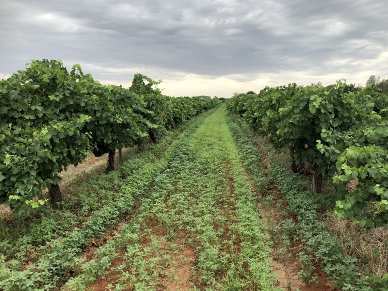 2617 Carver Road, Yenda NSW 2681