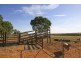 Griffith NSW 2680
