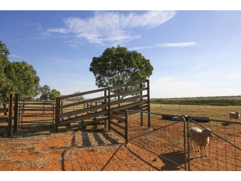 Griffith NSW 2680