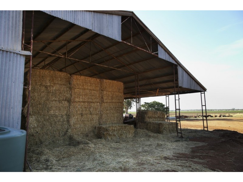 Griffith NSW 2680