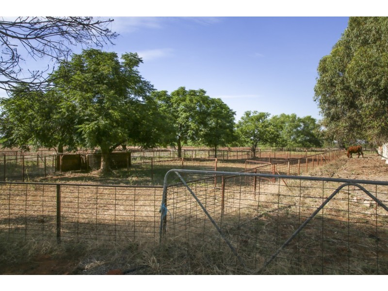Griffith NSW 2680