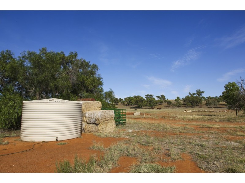 Griffith NSW 2680
