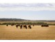 Griffith NSW 2680