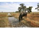 Griffith NSW 2680