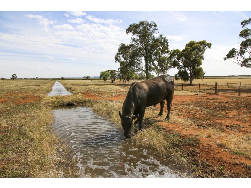 Griffith NSW 2680