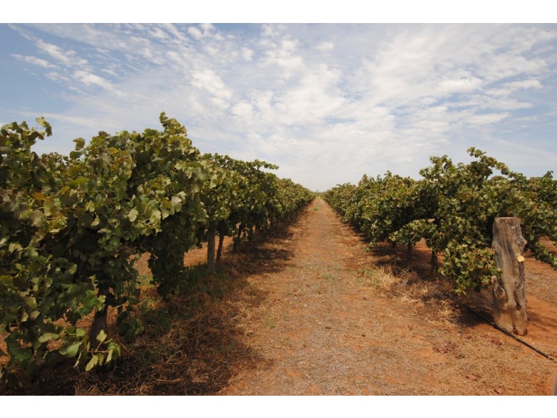1506 and 1549 McClure Road and Edge Road, Yenda NSW 2681