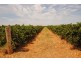 1506 and 1549 McClure Road and Edge Road, Yenda NSW 2681
