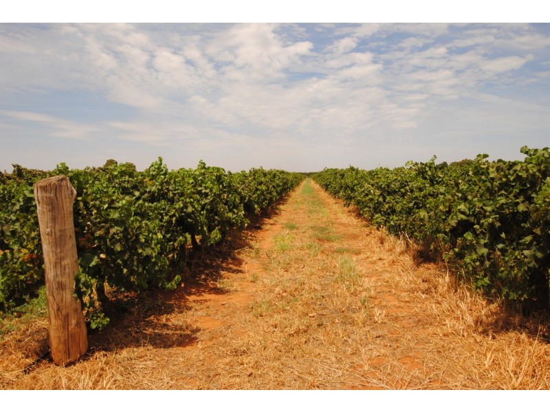 1506 and 1549 McClure Road and Edge Road, Yenda NSW 2681