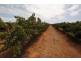 1506 and 1549 McClure Road and Edge Road, Yenda NSW 2681