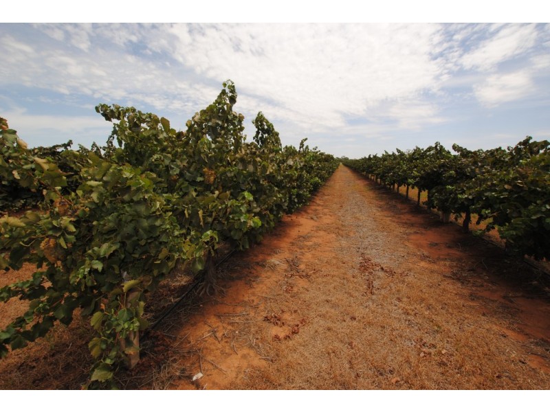 1506 and 1549 McClure Road and Edge Road, Yenda NSW 2681