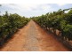1506 and 1549 McClure Road and Edge Road, Yenda NSW 2681