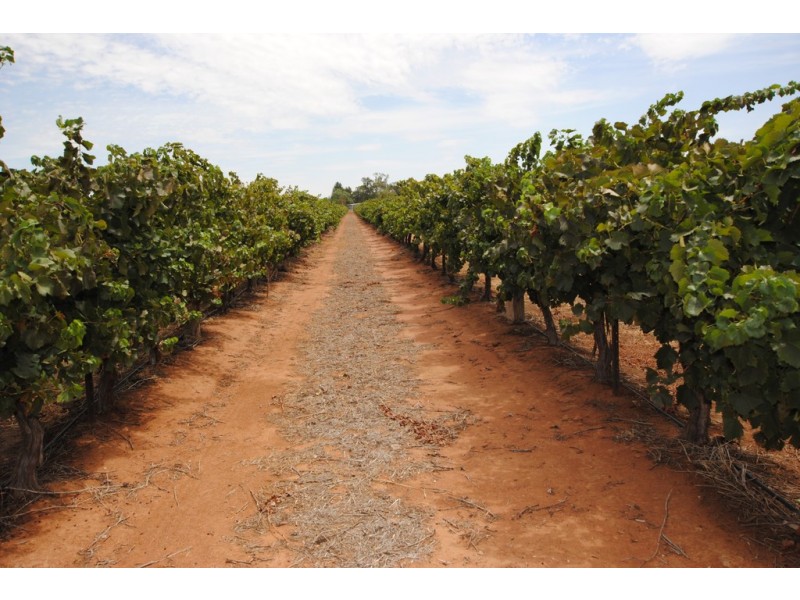 1506 and 1549 McClure Road and Edge Road, Yenda NSW 2681