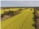 Yanco NSW 2703