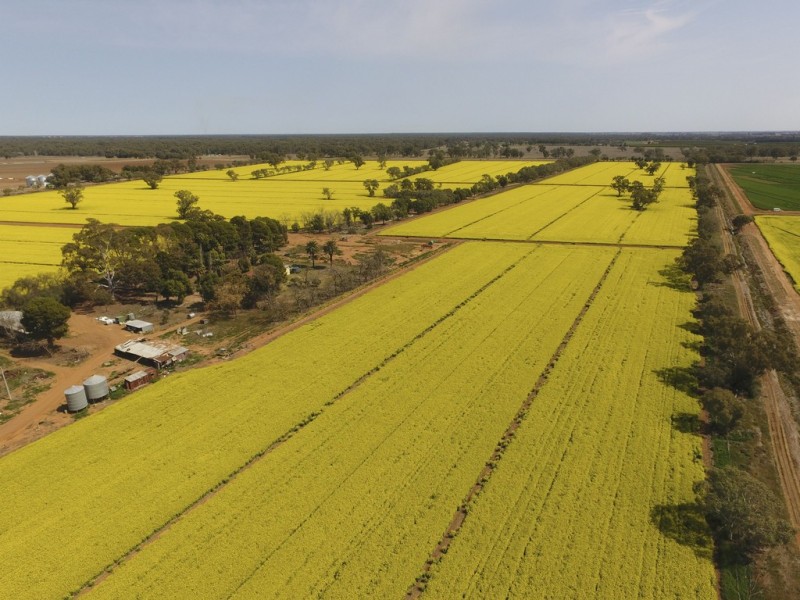 Yanco NSW 2703