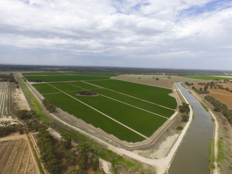 Yanco NSW 2703
