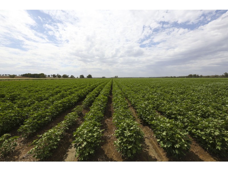 Yanco NSW 2703