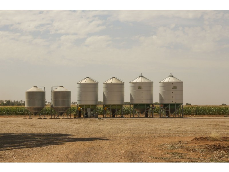 Yanco NSW 2703