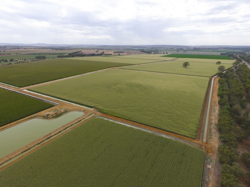 Yanco NSW 2703
