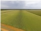 Yanco NSW 2703