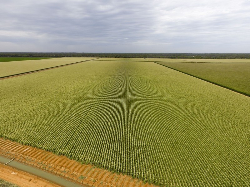 Yanco NSW 2703