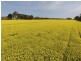 Yanco NSW 2703