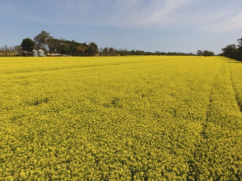 Yanco NSW 2703