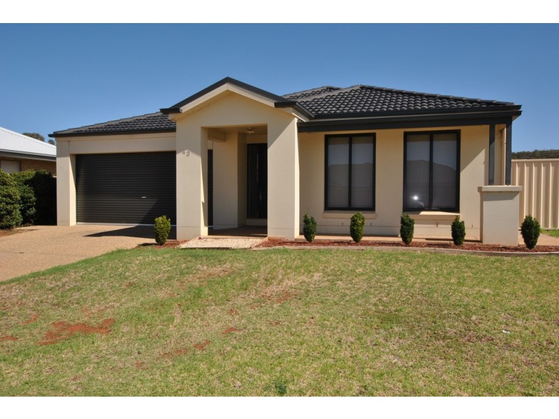 43 Verri Street, Griffith NSW 2680