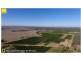 Farm 1572 42 Stannard Road, Cudgel NSW 2700