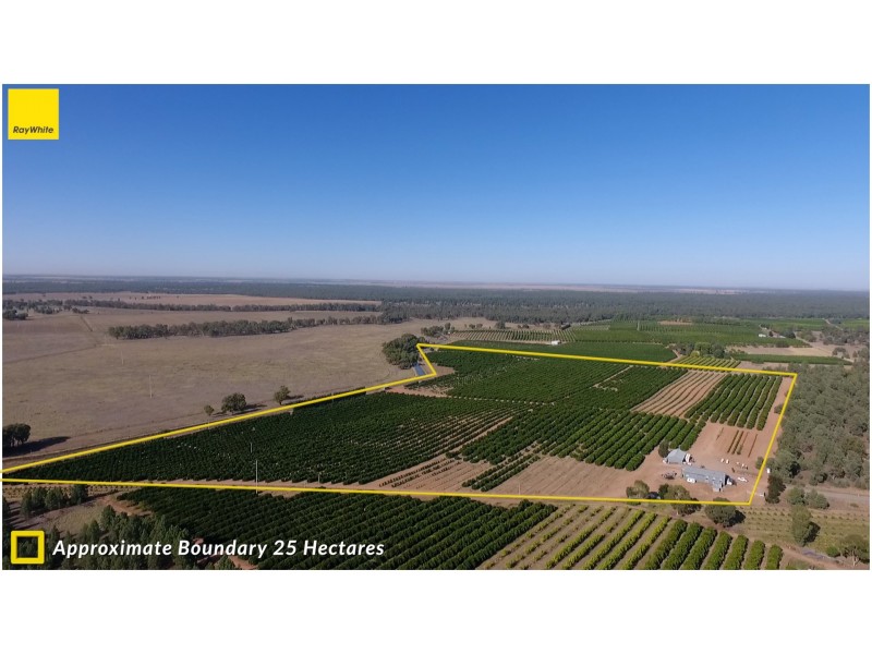 Farm 1572 42 Stannard Road, Cudgel NSW 2700