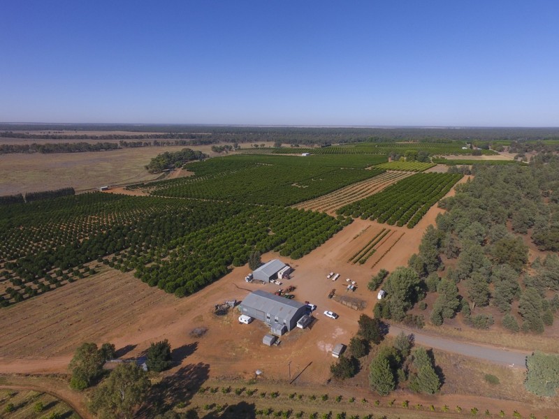 Farm 1572 42 Stannard Road, Cudgel NSW 2700